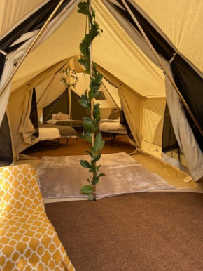 Bell Tent Village, Nottingham